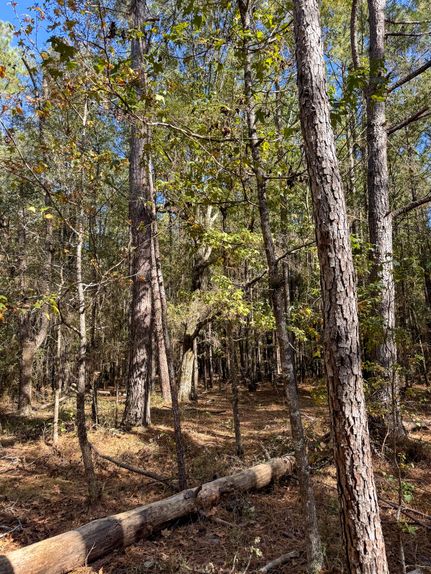 Property for sale in Calhoun County, Arkansas