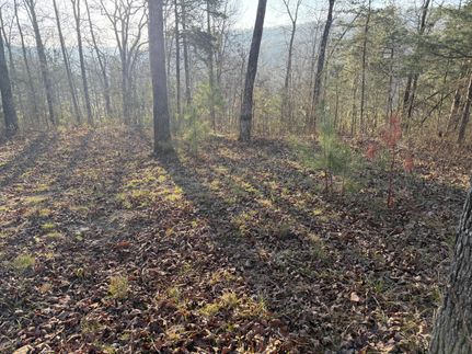 Property for sale in Baxter County, Arkansas