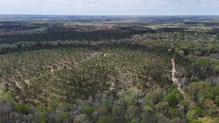 Property for sale in Barbour County, Alabama