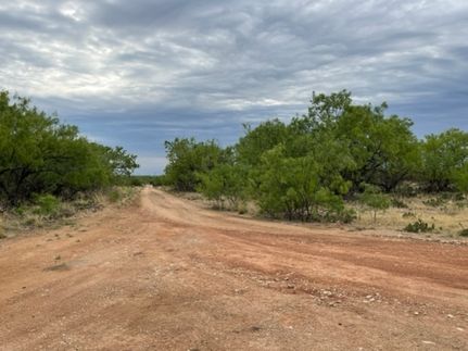Undeveloped Land for sale in Coke County, Texas