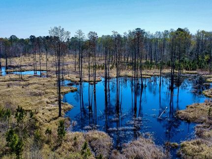 Timberland Property for sale in Bamberg County, South Carolina