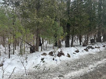 Undeveloped Land for sale in Essex County, New York