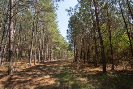 Property for sale in Burke County, Georgia