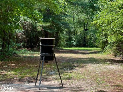 Timberland Property for sale in Dodge County, Georgia