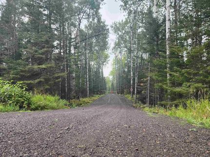 Undeveloped Land for sale in Cook County, Minnesota