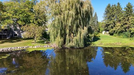 Property for sale in Dane County, Wisconsin