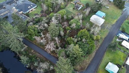 Undeveloped Land for sale in Pacific County, Washington