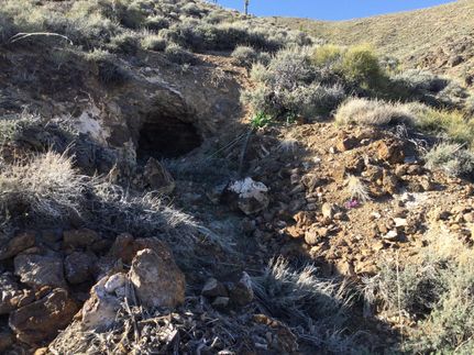 Undeveloped Land for sale in Esmeralda County, Nevada