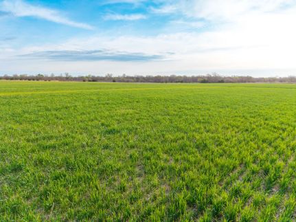 Farm Property for sale in Sumner County, Kansas