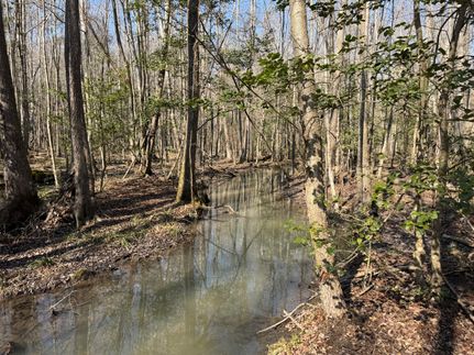 Property for sale in Sumter County, South Carolina