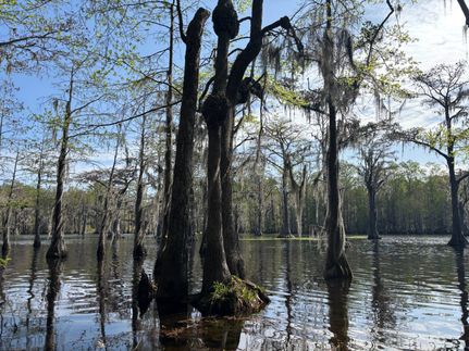 Property for sale in Darlington County, South Carolina