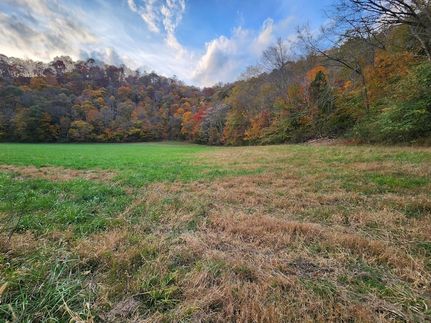 Undeveloped Land for sale in Jackson County, Tennessee
