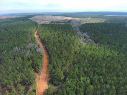 Timberland Property for sale in Baldwin County, Alabama