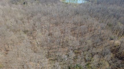 Property for sale in Jackson County, Illinois