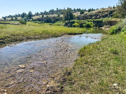 Ranch Property for sale in Golden Valley County, Montana