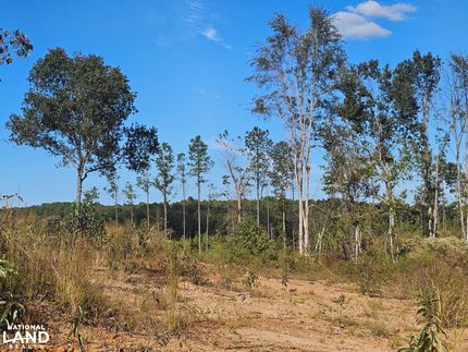 Property for sale in Lamar County, Alabama