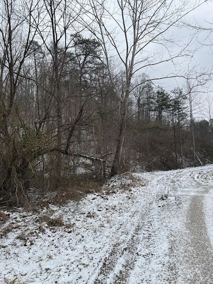 Property for sale in Elliott County, Kentucky