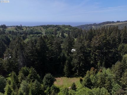 Undeveloped Land for sale in Curry County, Oregon