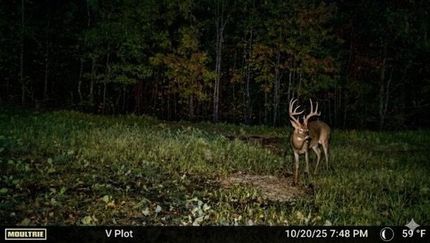 Undeveloped Land for sale in Humphreys County, Tennessee