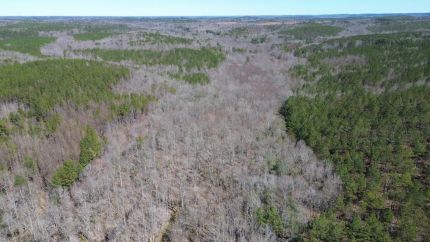Property for sale in Marion County, Alabama