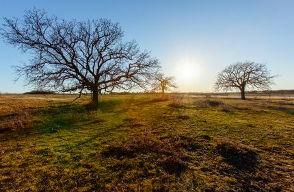 Horse Property for sale in Jack County, Texas