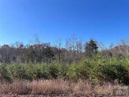 Undeveloped Land for sale in Stokes County, North Carolina