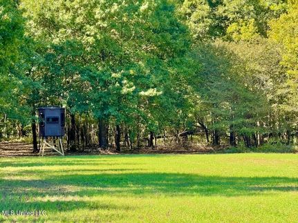 Undeveloped Land for sale in Sharkey County, Mississippi