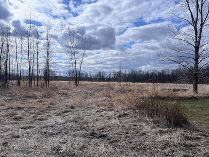 Undeveloped Land for sale in Manitowoc County, Wisconsin