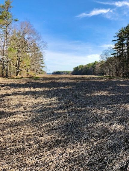 Property for sale in Sagadahoc County, Maine