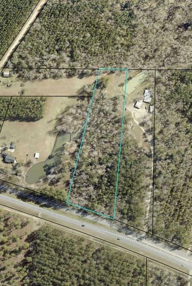 Undeveloped Land for sale in Worth County, Georgia