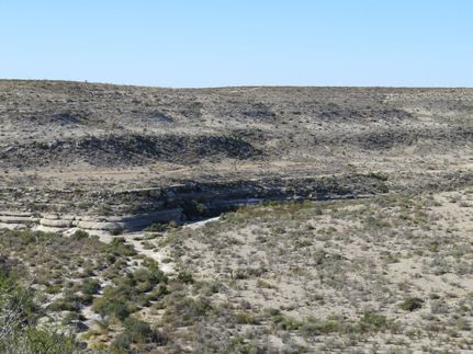 Property for sale in Terrell County, Texas