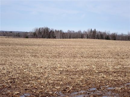 Undeveloped Land for sale in Chippewa County, Wisconsin