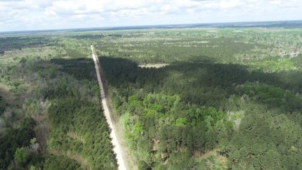 Property for sale in Beauregard Parish, Louisiana