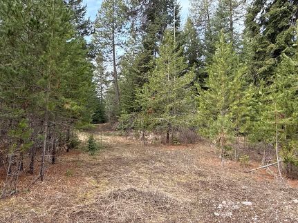 Timberland Property for sale in Stevens County, Washington