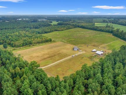 Undeveloped Land for sale in Dillon County, South Carolina
