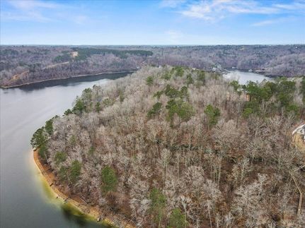 Undeveloped Land for sale in Winston County, Alabama