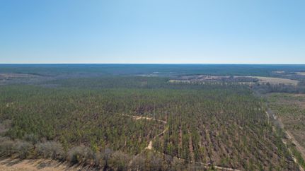 Timberland Property for sale in Marion County, Georgia