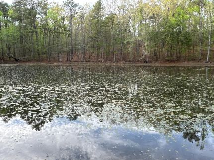 Property for sale in Douglas County, Georgia