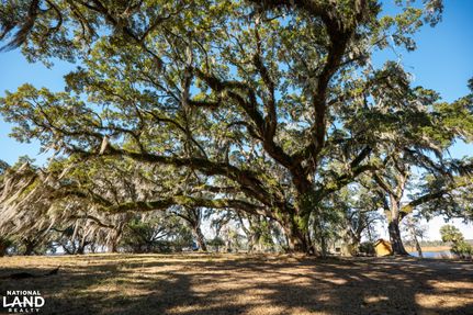 Riverfront Property for sale in Georgetown County, South Carolina