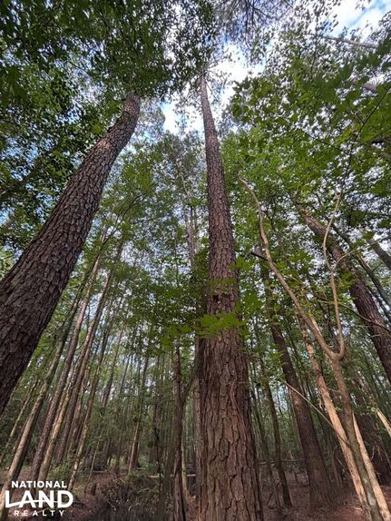 Horse Property for sale in Dillon County, South Carolina