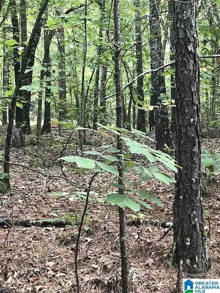 Property for sale in Talladega County, Alabama