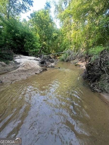 Undeveloped Land for sale in Elbert County, Georgia