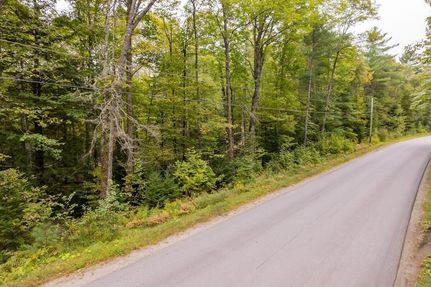 Undeveloped Land for sale in Penobscot County, Maine