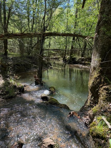 Property for sale in Sevier County, Arkansas