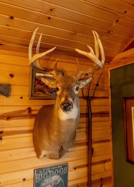 Property for sale in Union County, Illinois