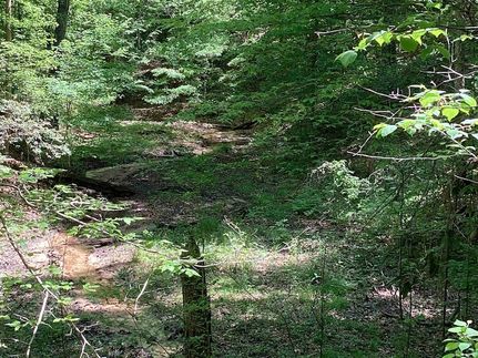Undeveloped Land for sale in Covington County, Alabama