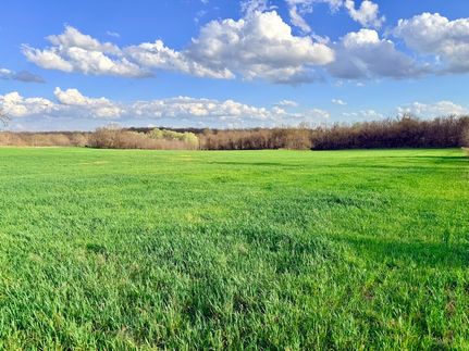 Undeveloped Land for sale in Dade County, Missouri