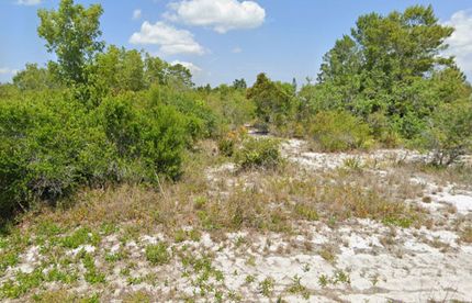 Undeveloped Land for sale in Highlands County, Florida