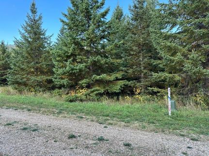 Undeveloped Land for sale in Becker County, Minnesota