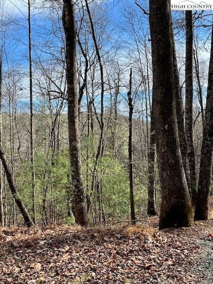 Undeveloped Land for sale in Watauga County, North Carolina